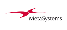 metasystems